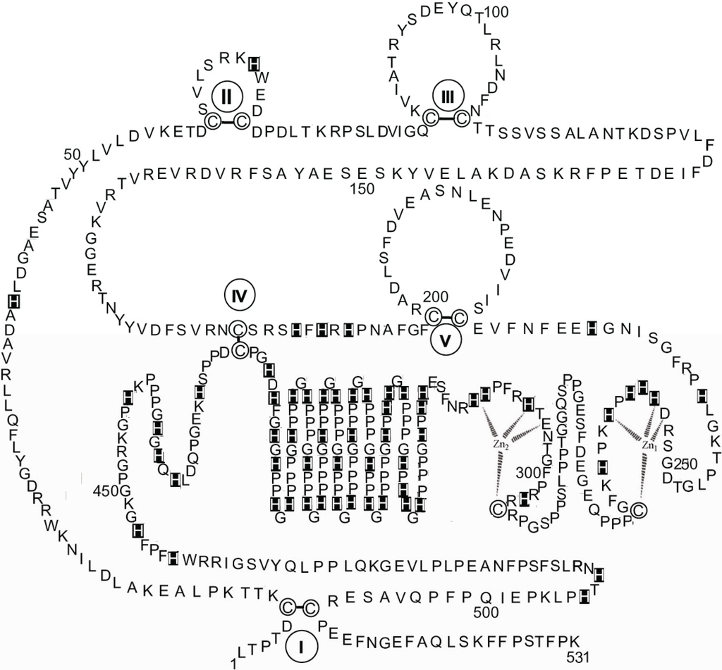 Biomolecules 04 00474 g005 1024