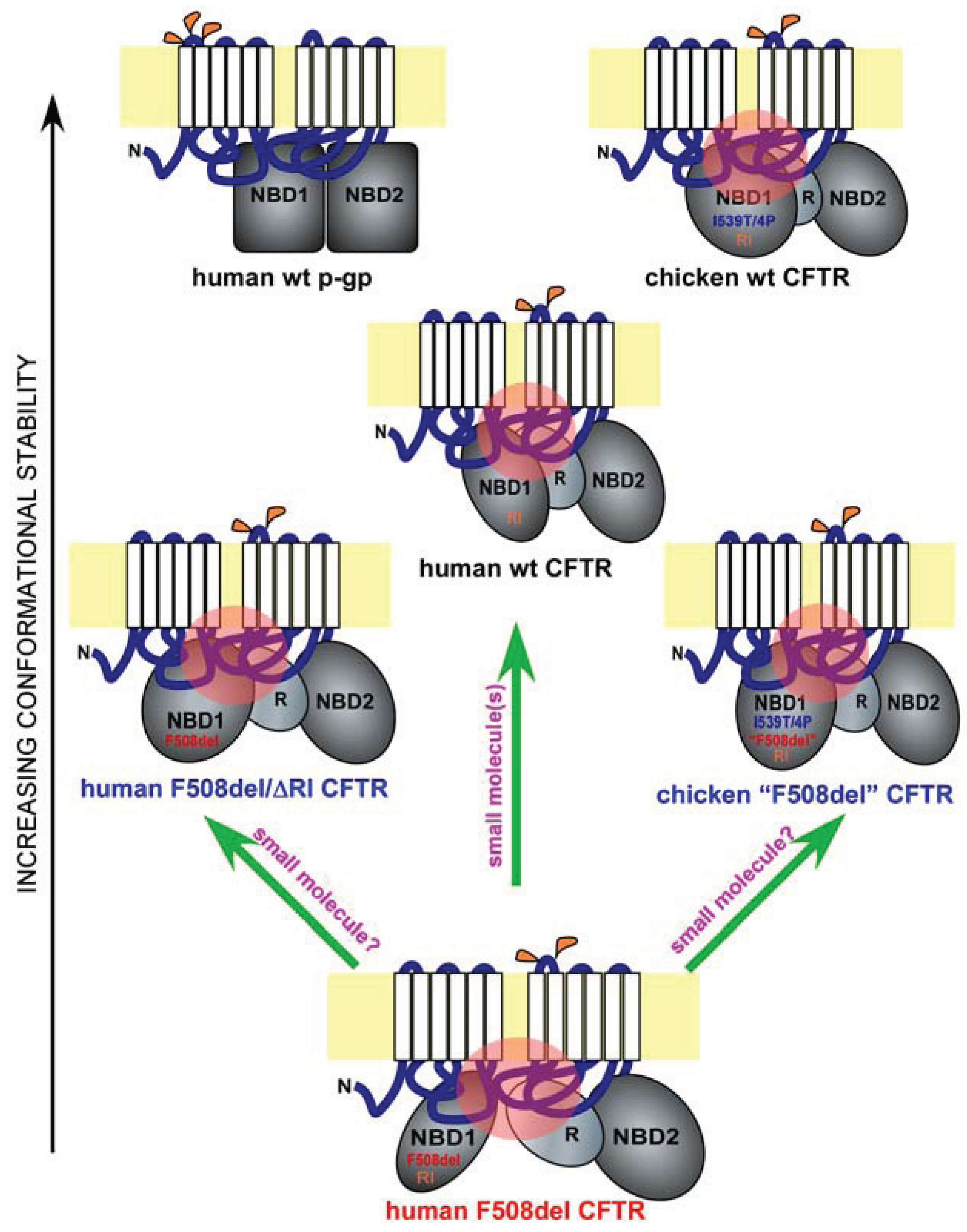 Biomolecules 04 00498 g001
