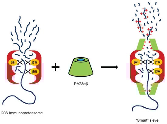 Biomolecules 04 00566 g002 550