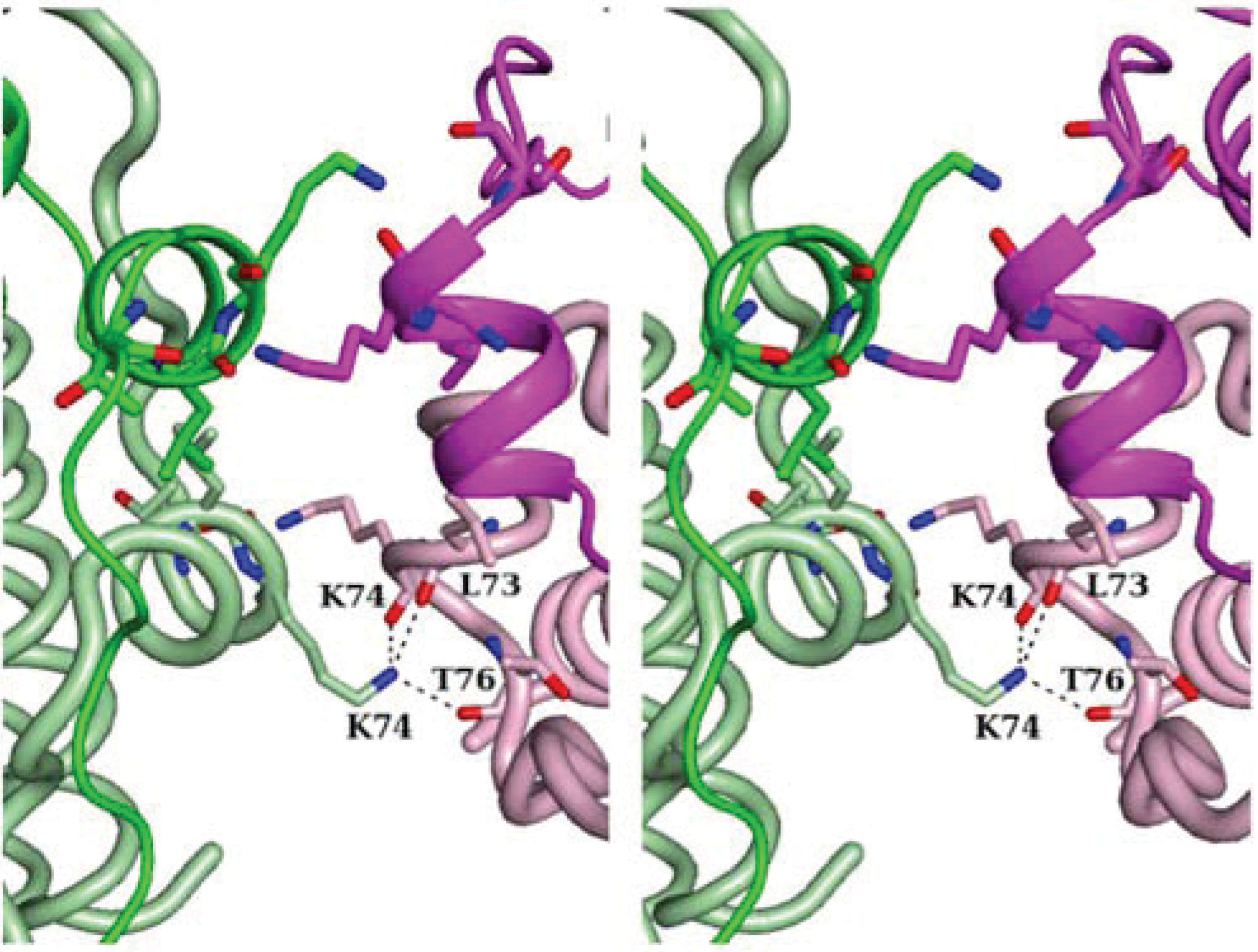 Biomolecules 04 00600 g003