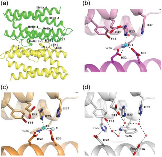 Biomolecules 04 00600 g004 550