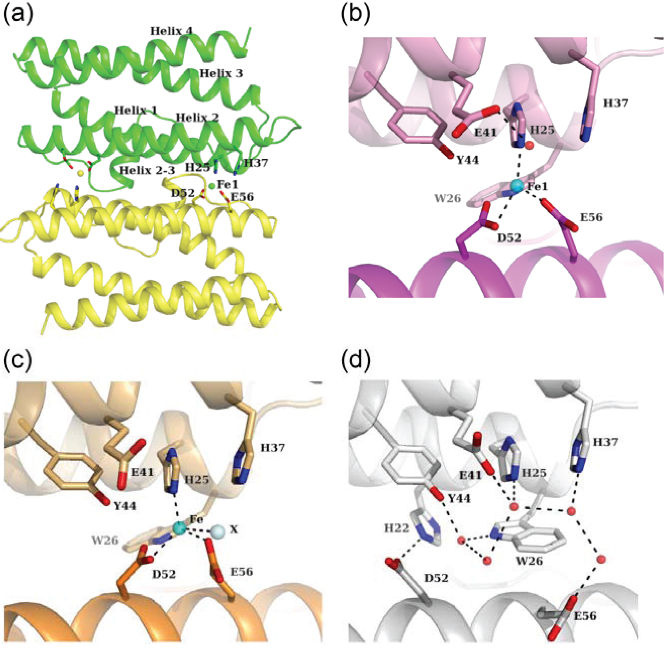 Biomolecules 04 00600 g004