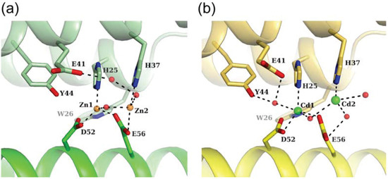 Biomolecules 04 00600 g005 550