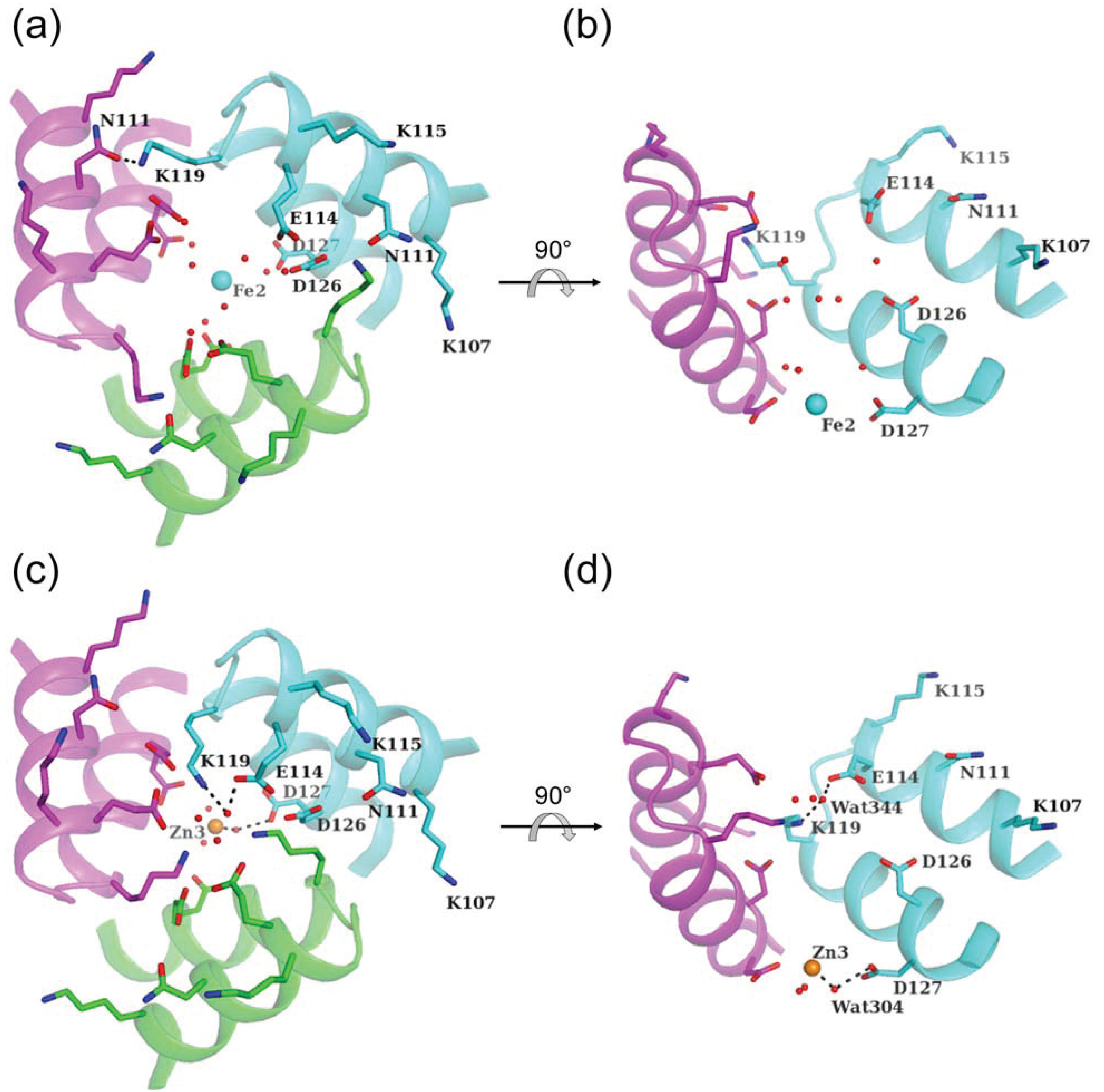 Biomolecules 04 00600 g006