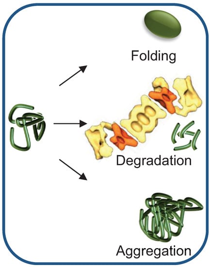 Biomolecules 04 00704 g001 550