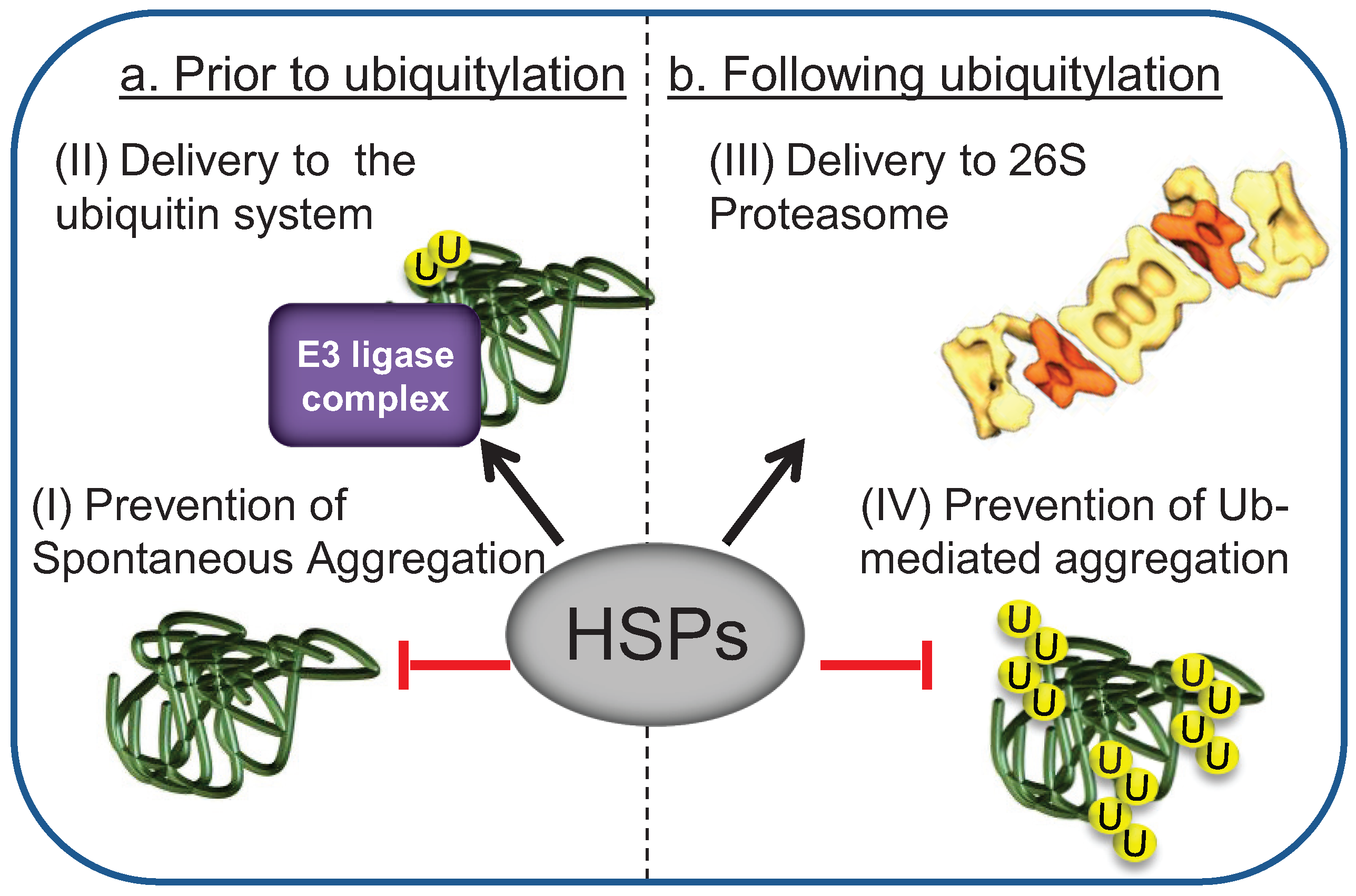 Biomolecules 04 00704 g002