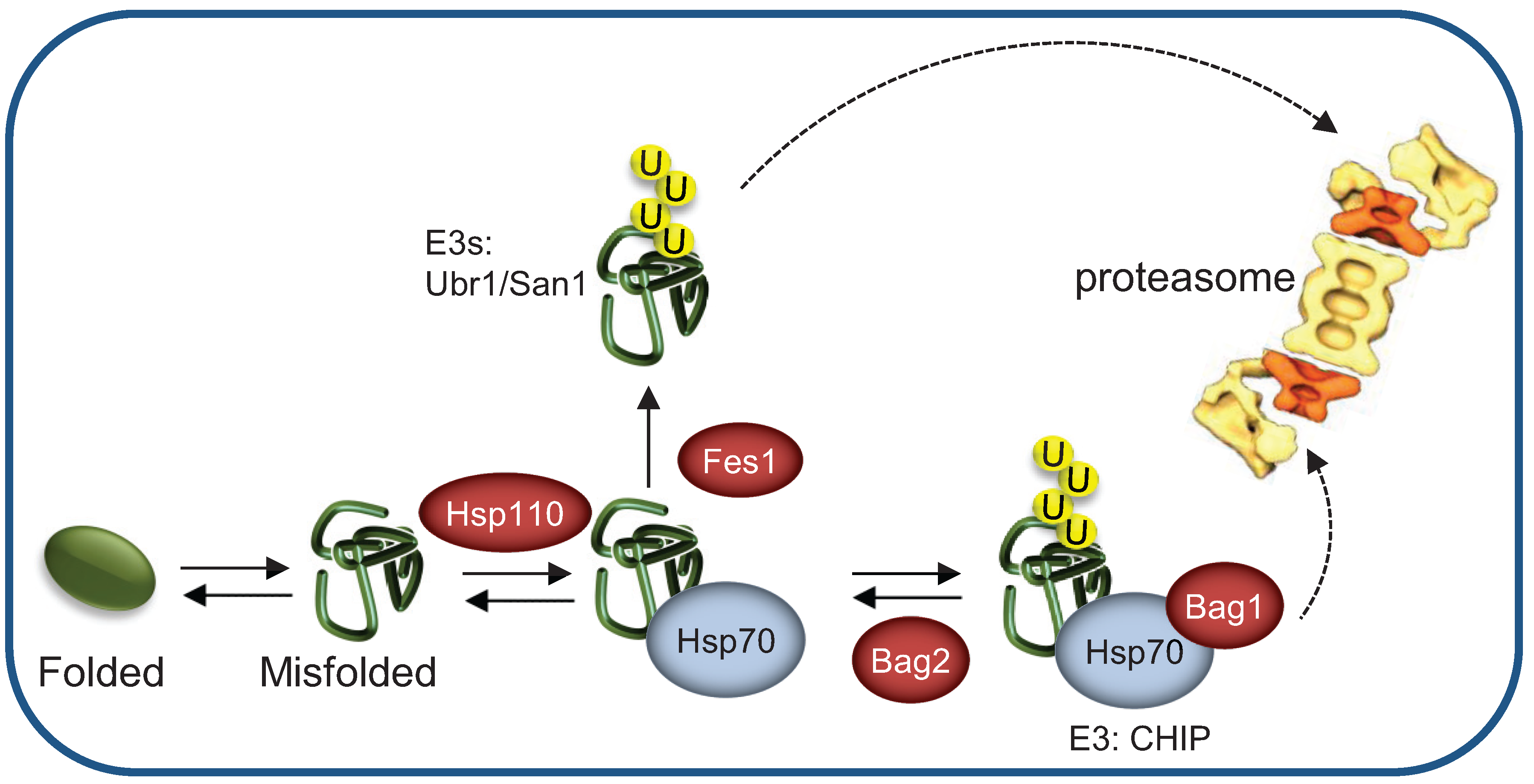 Biomolecules 04 00704 g004