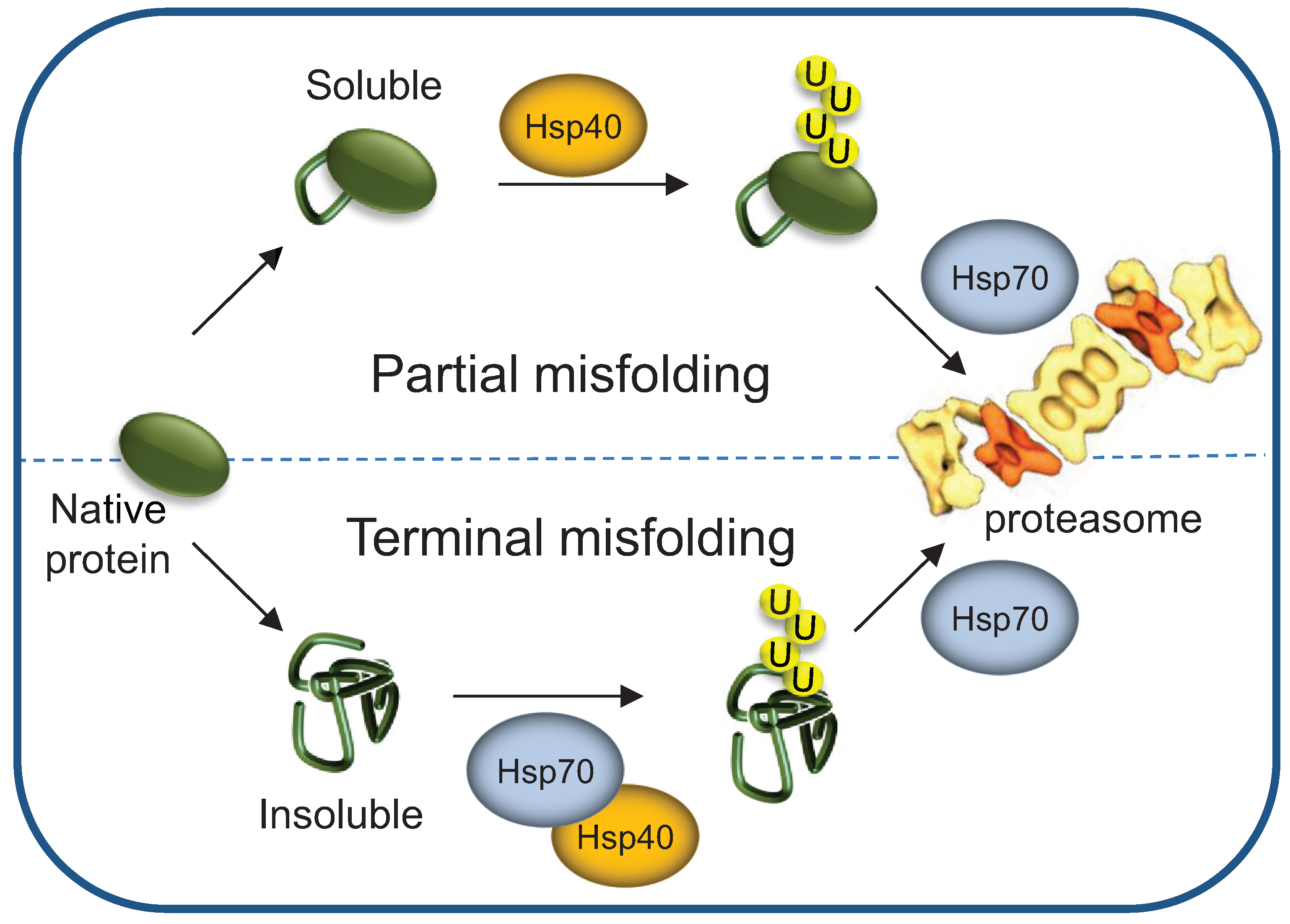 Biomolecules 04 00704 g005
