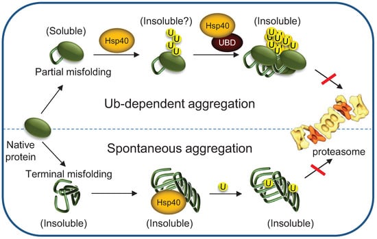 Biomolecules 04 00704 g006 550