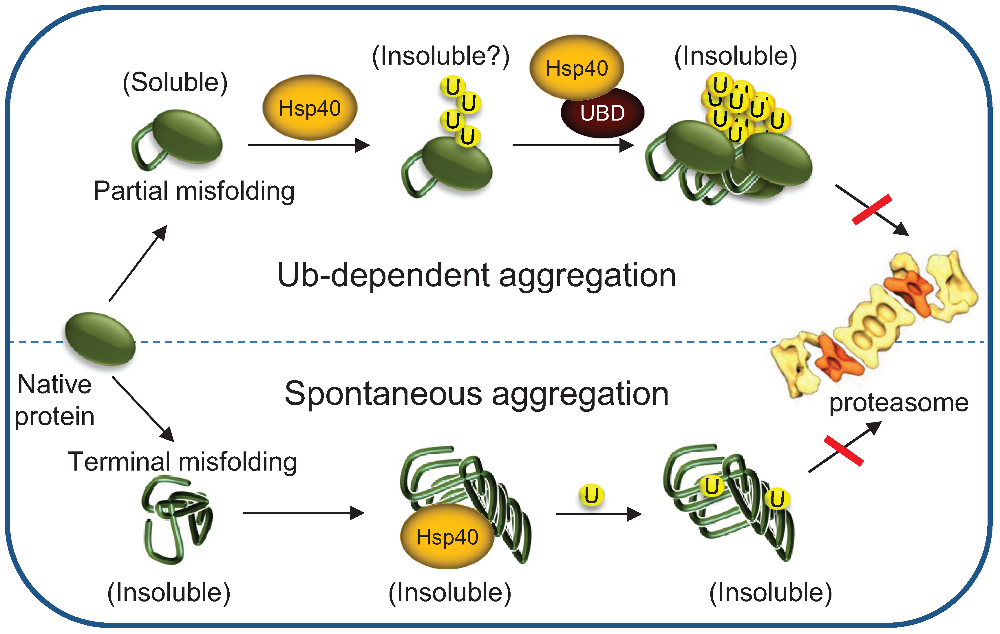 Biomolecules 04 00704 g006