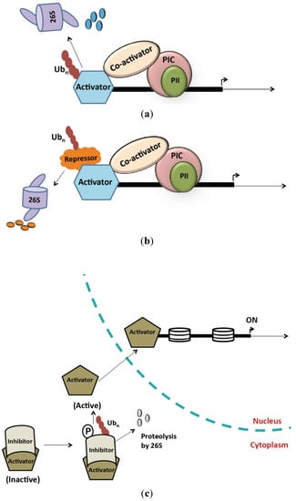 Biomolecules 04 00827 g001 550