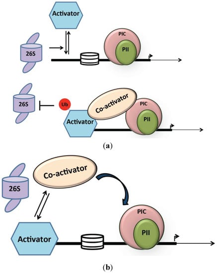 Biomolecules 04 00827 g003 550