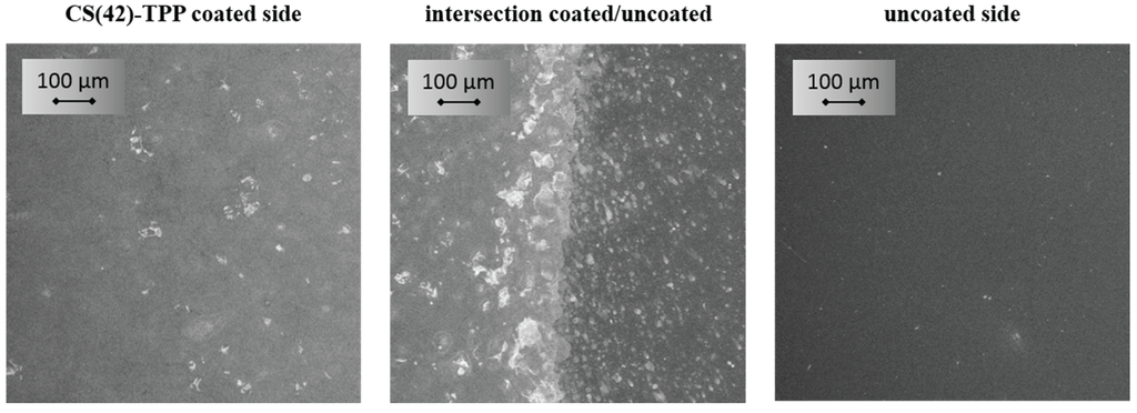 Biomolecules 05 00003 g004 1024