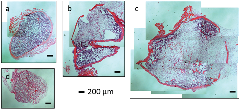 Biomolecules 05 00003 g007 1024