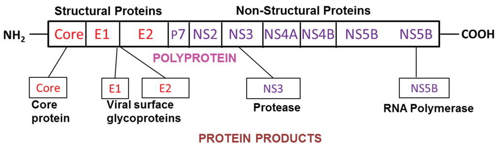 Biomolecules 05 00076 g001 1024