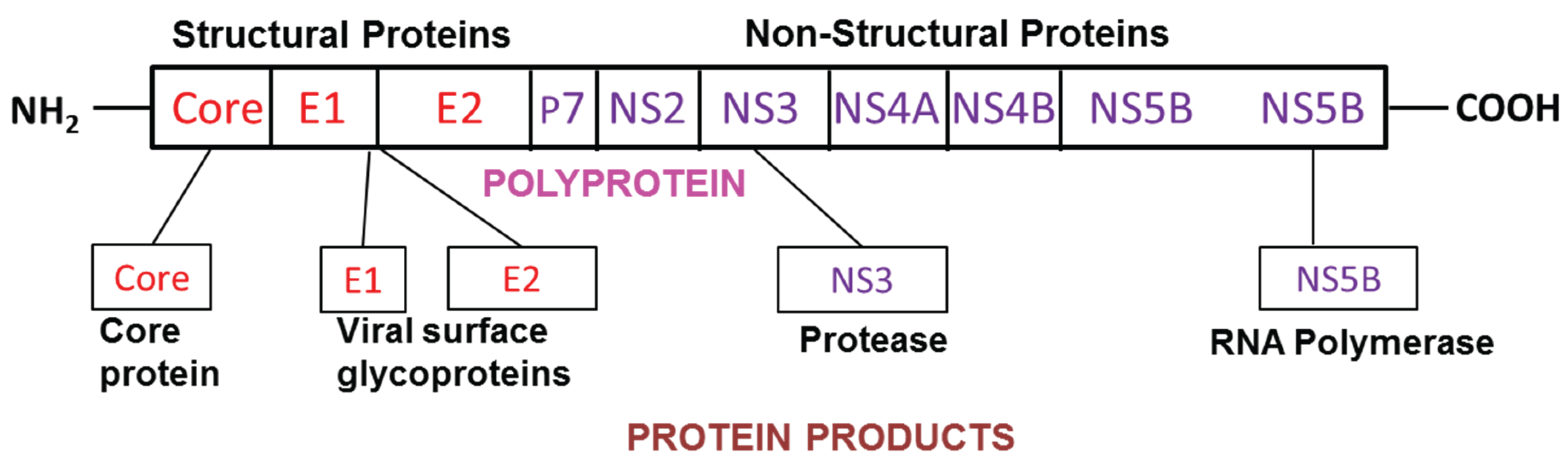Biomolecules 05 00076 g001