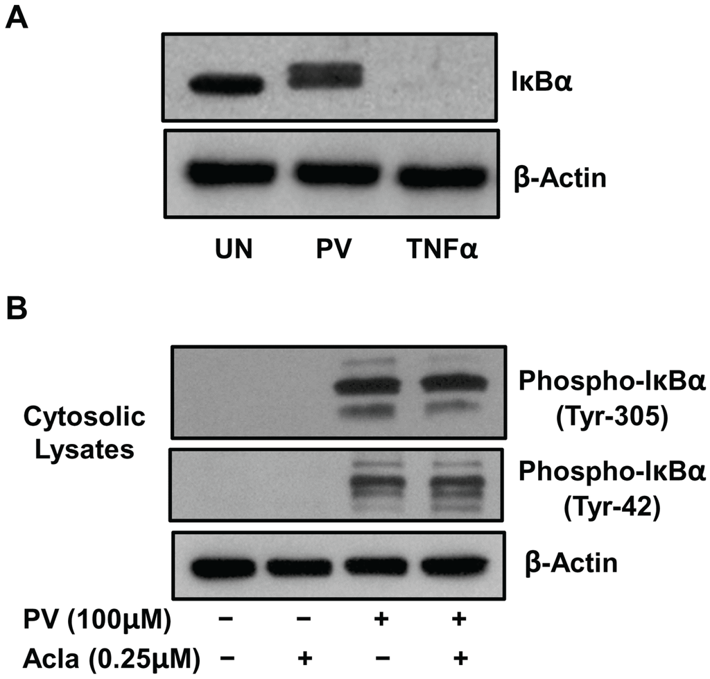 Biomolecules 05 00095 g001 1024