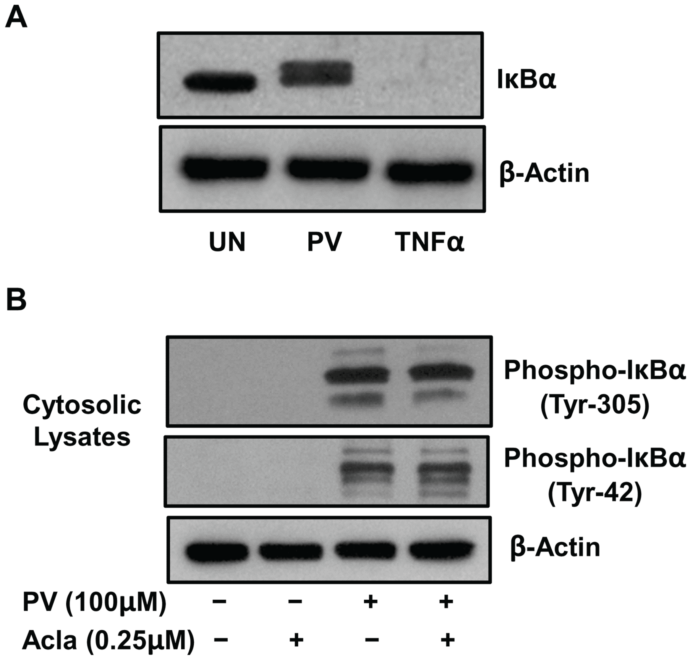 Biomolecules 05 00095 g001