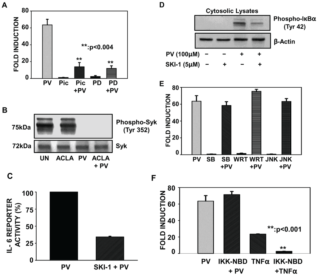 Biomolecules 05 00095 g002 1024