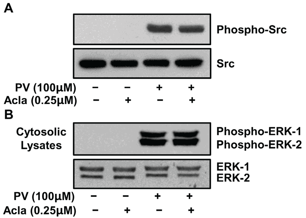 Biomolecules 05 00095 g003 1024
