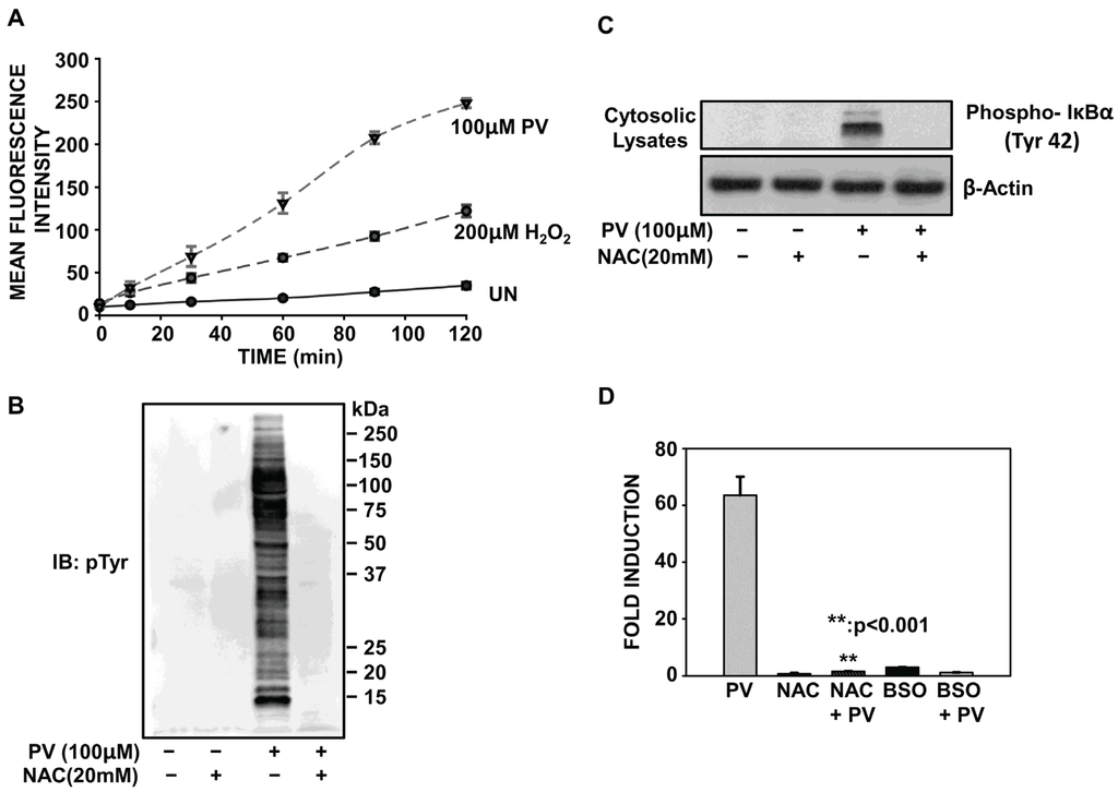 Biomolecules 05 00095 g004 1024
