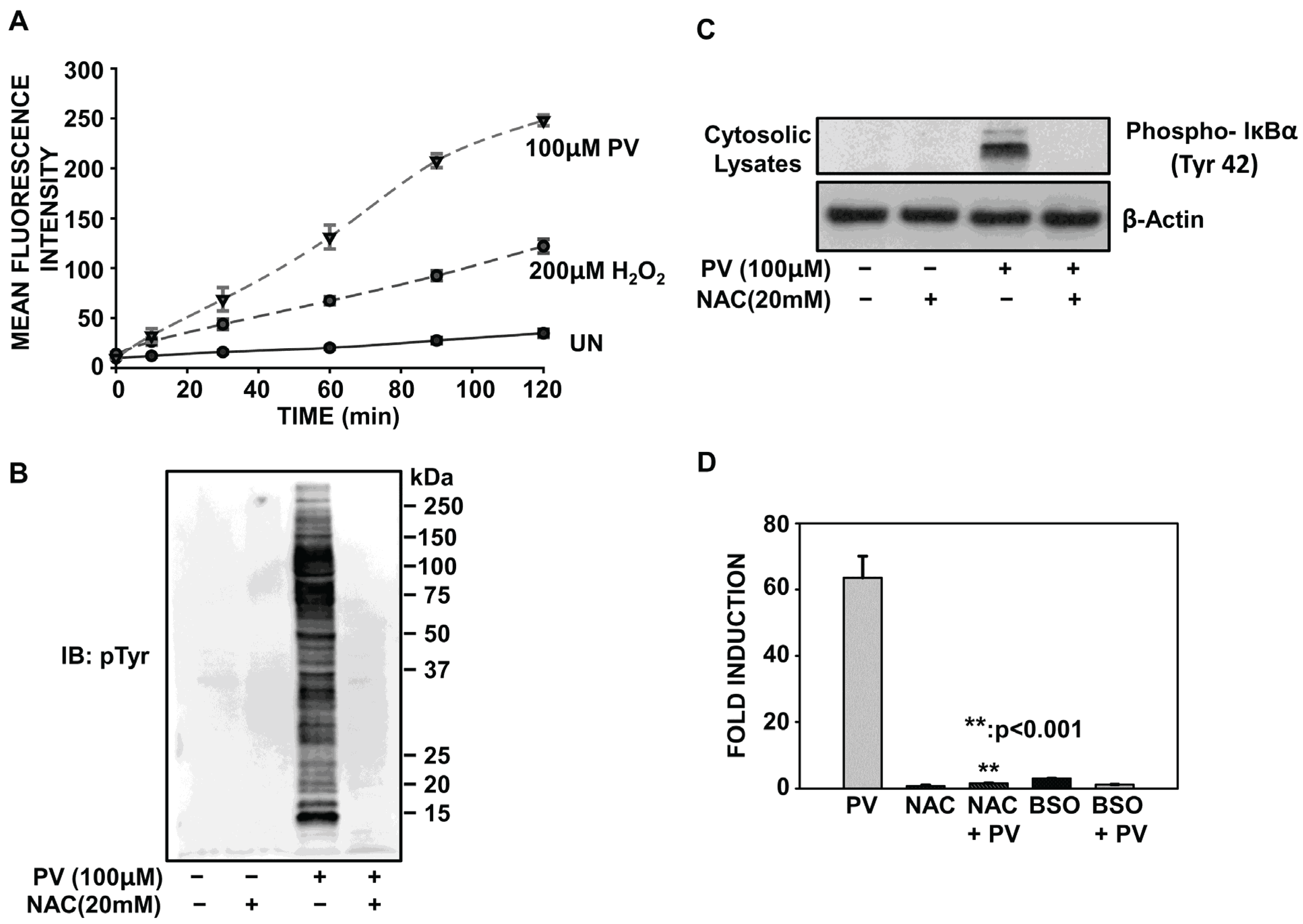 Biomolecules 05 00095 g004