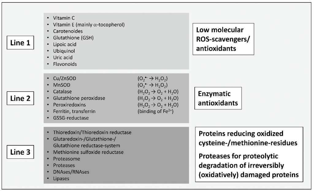 Biomolecules 05 00194 g001 1024