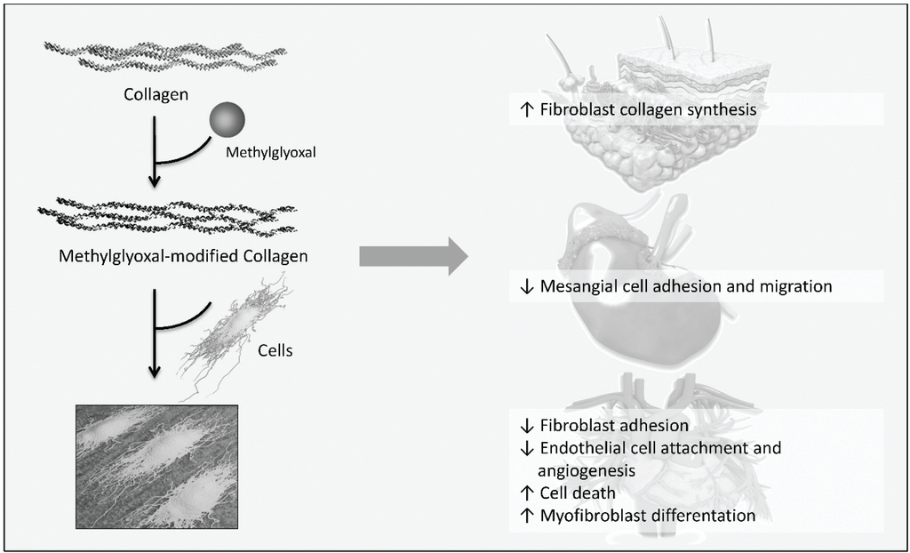 Biomolecules 05 00194 g005 1024