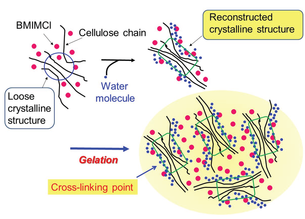 Biomolecules 05 00244 g005 1024