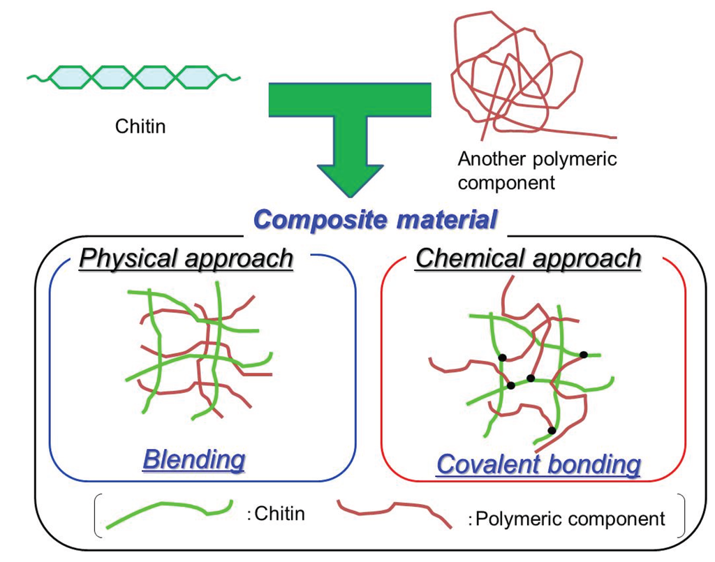 Biomolecules 05 00244 g009 1024
