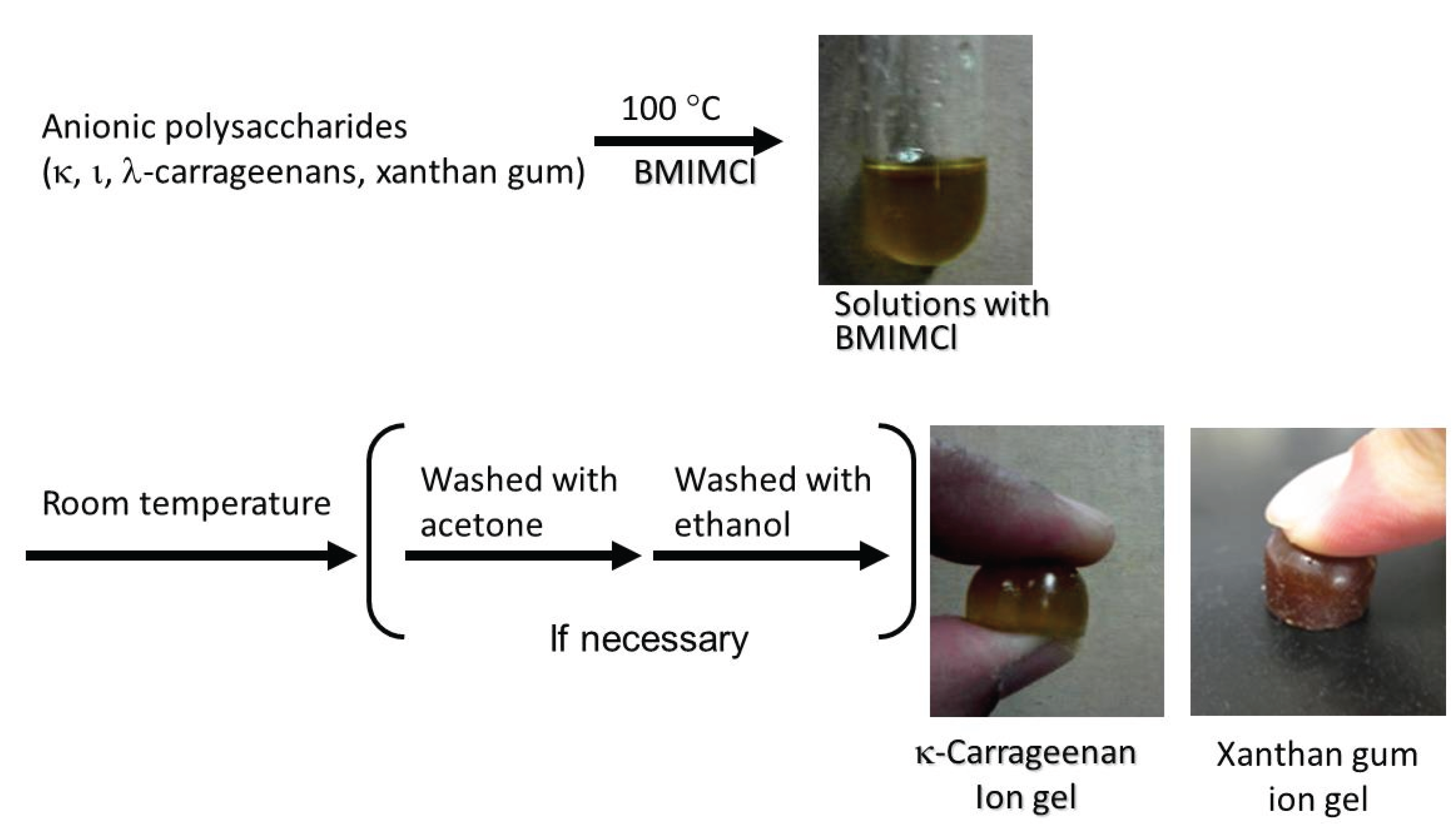 Biomolecules 05 00244 g010