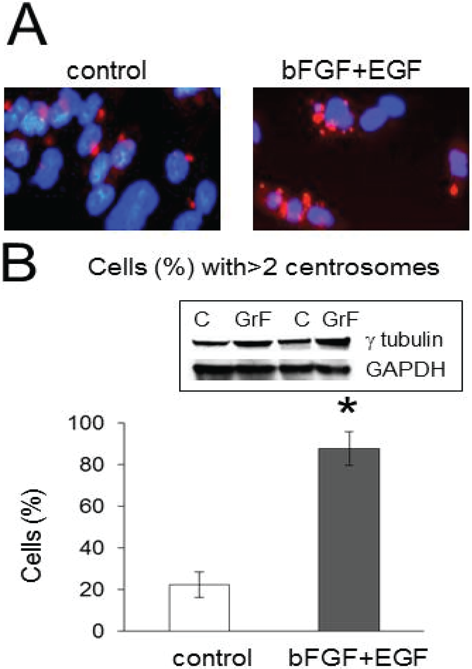 Biomolecules 05 00263 g001