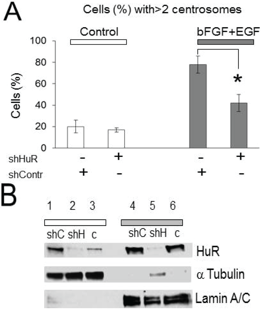 Biomolecules 05 00263 g002 1024