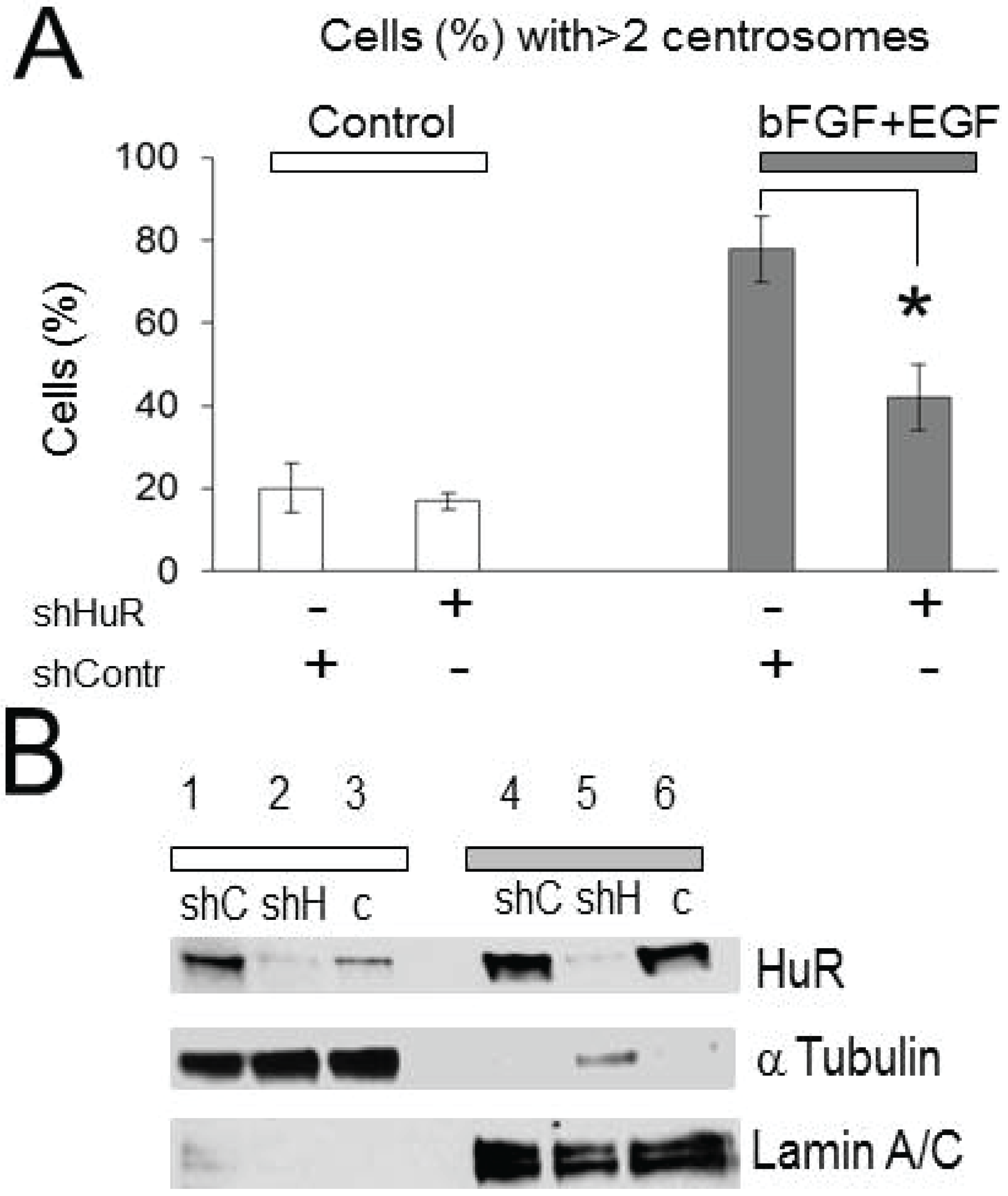 Biomolecules 05 00263 g002