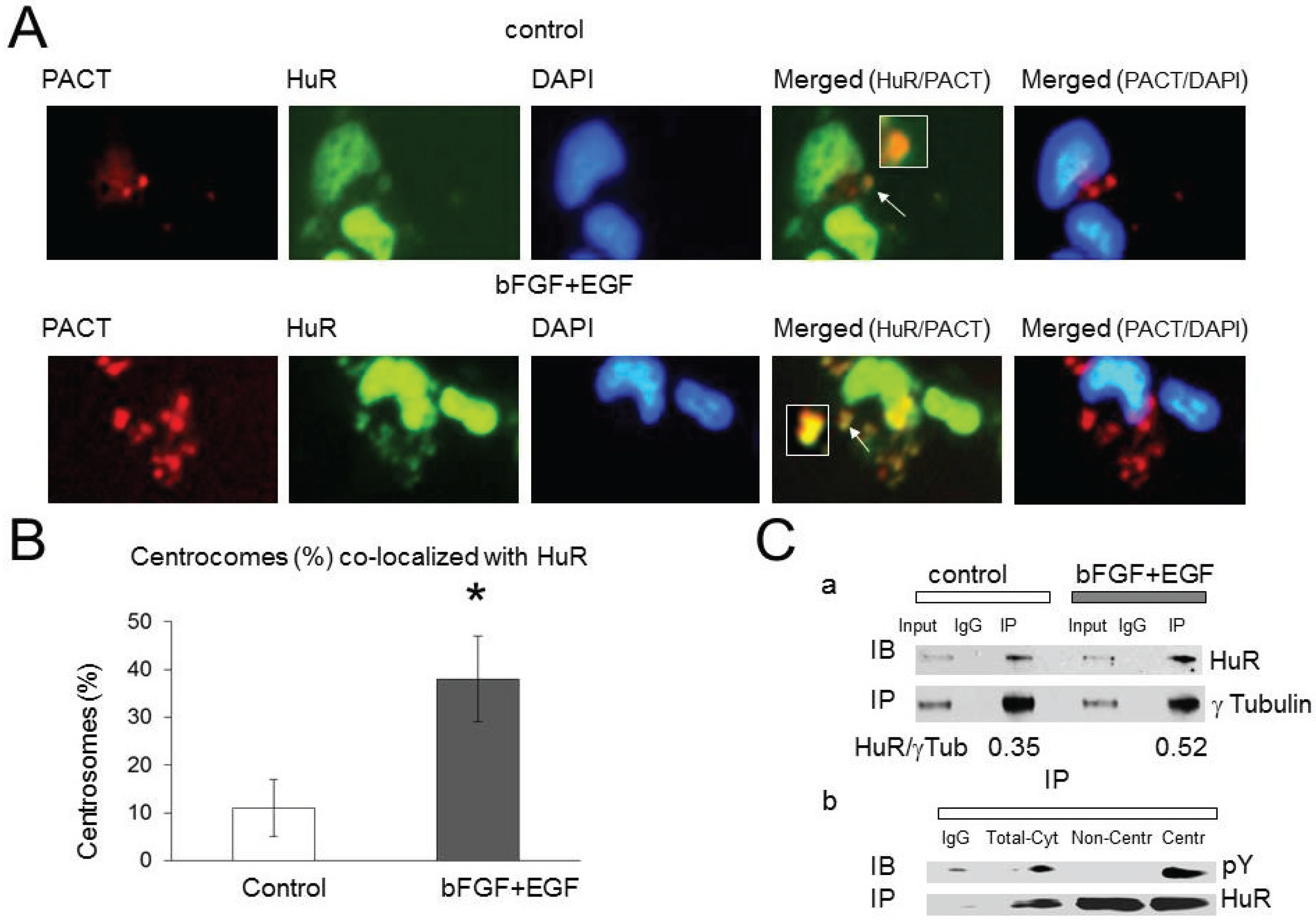 Biomolecules 05 00263 g003
