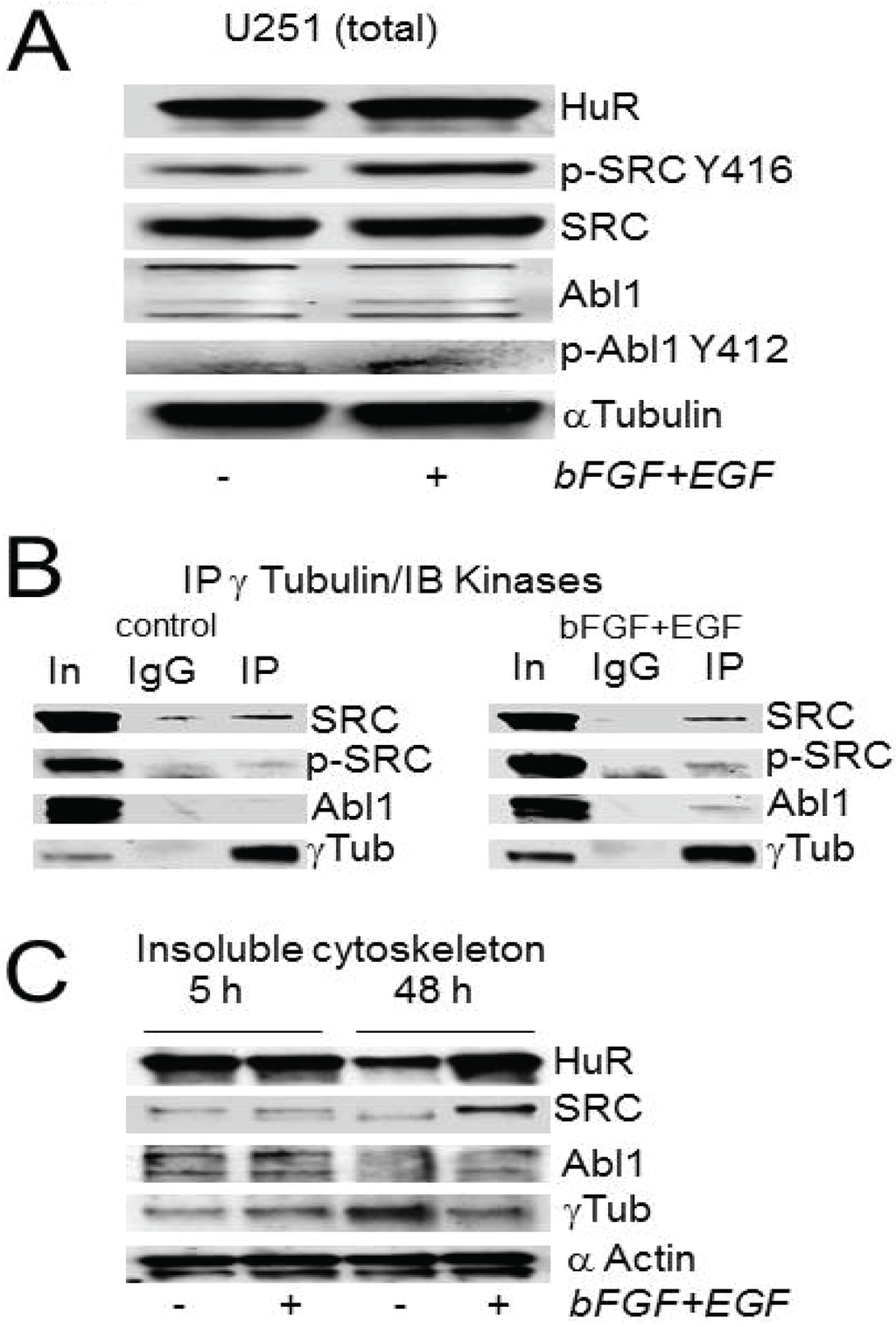 Biomolecules 05 00263 g004 1024