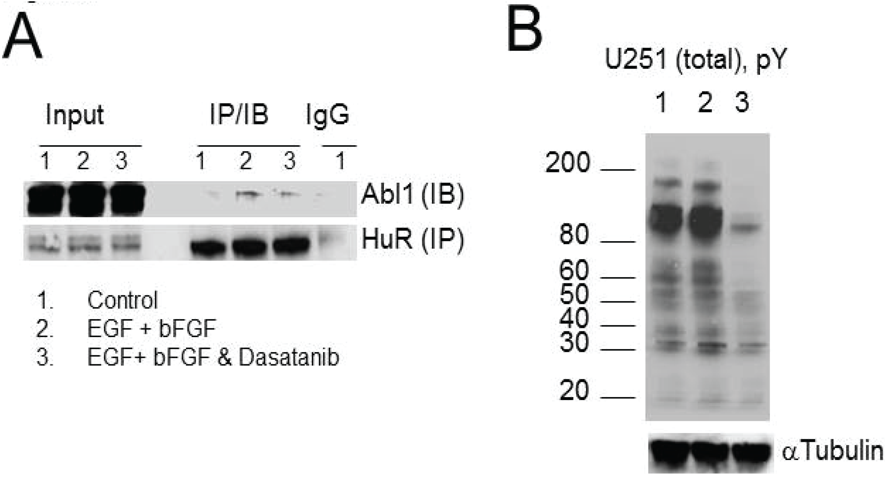 Biomolecules 05 00263 g006