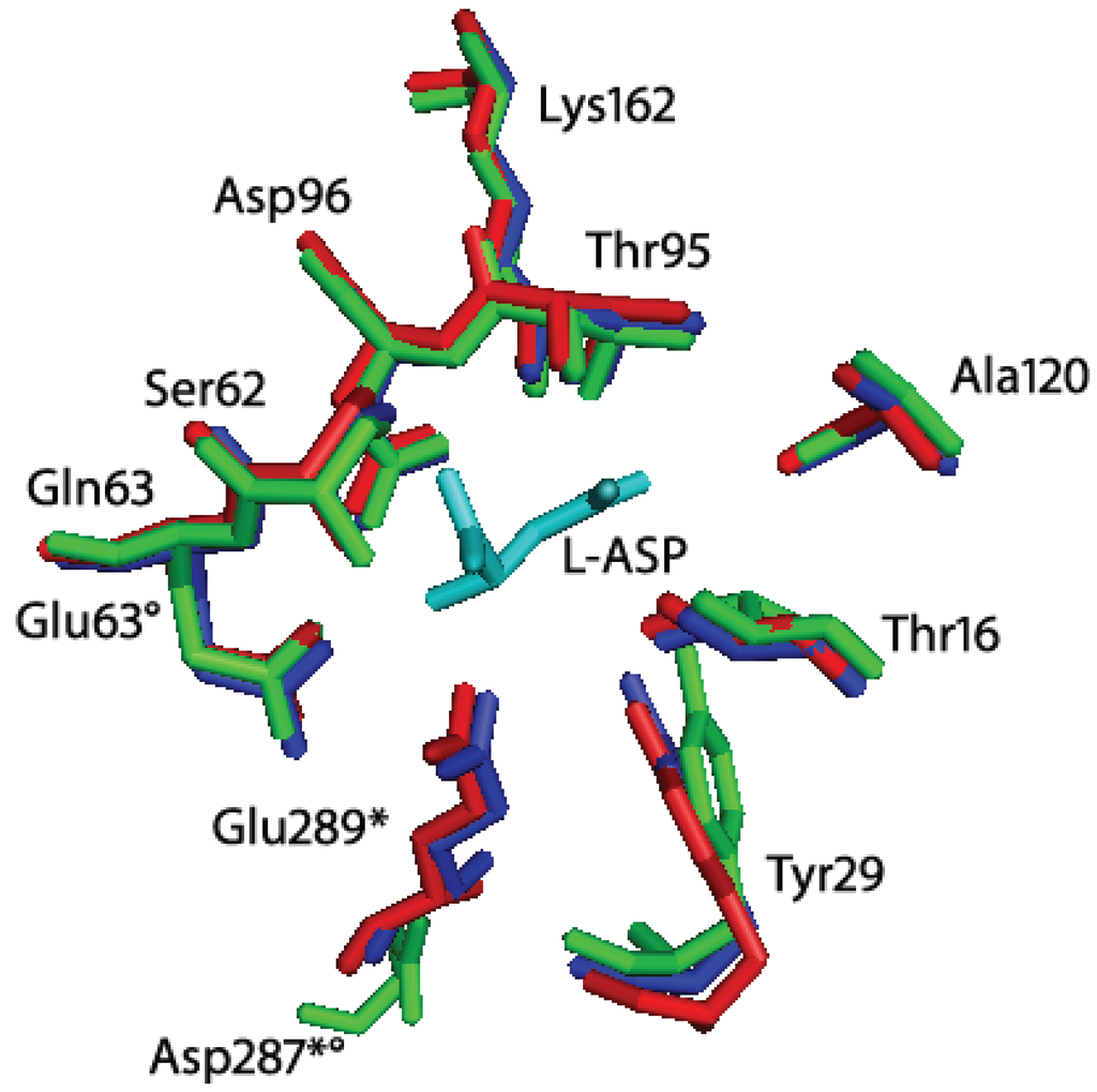 Biomolecules 05 00306 g003 1024