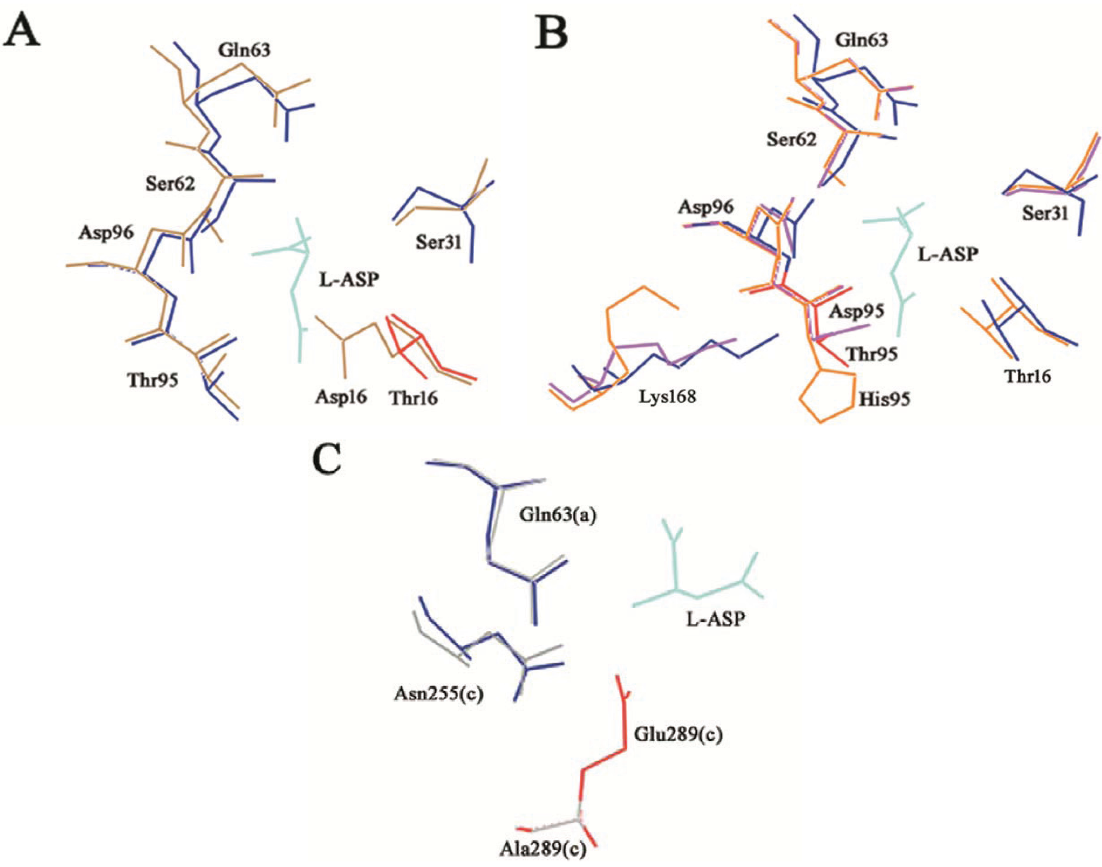 Biomolecules 05 00306 g004