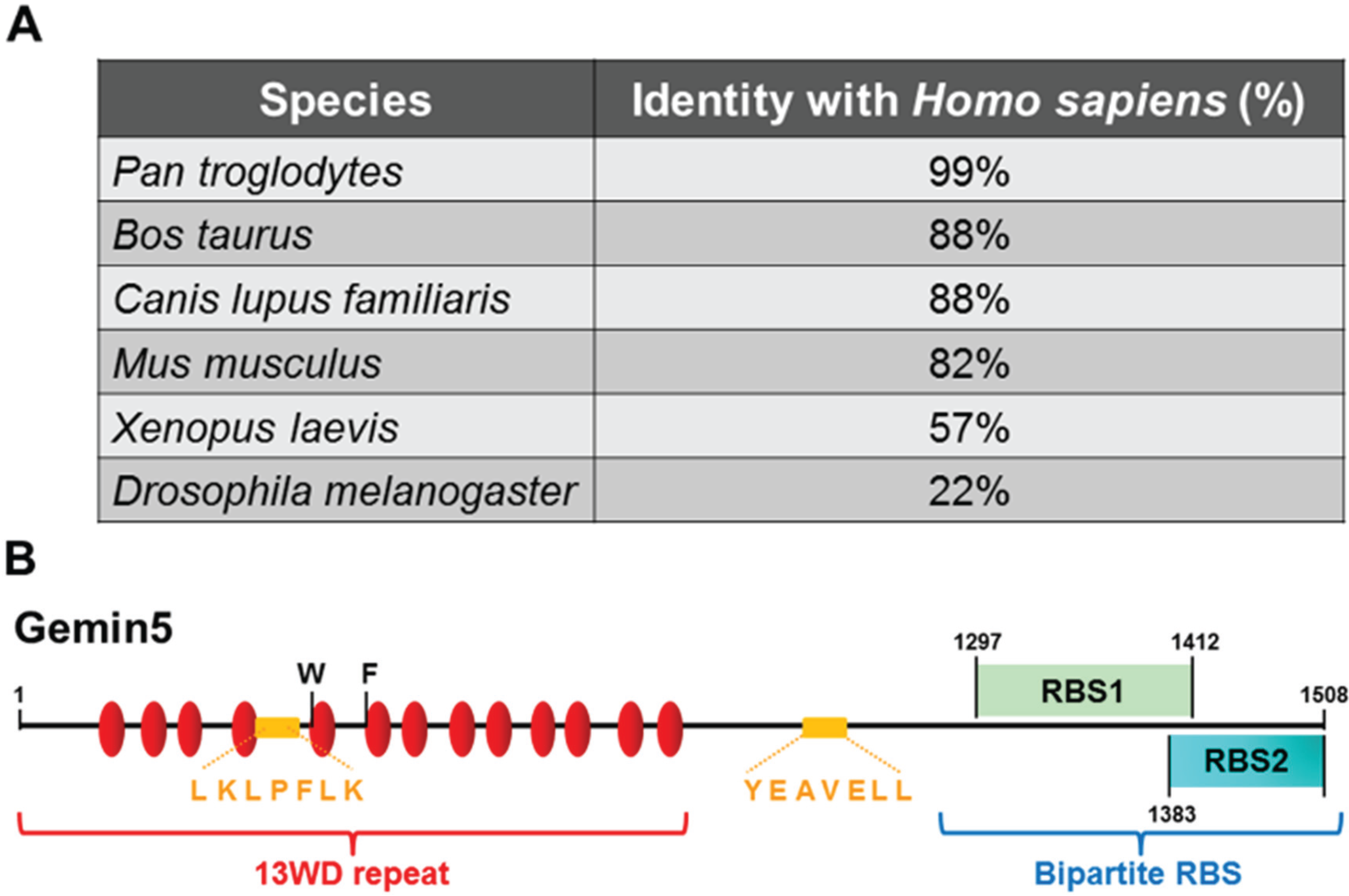 Biomolecules 05 00528 g001