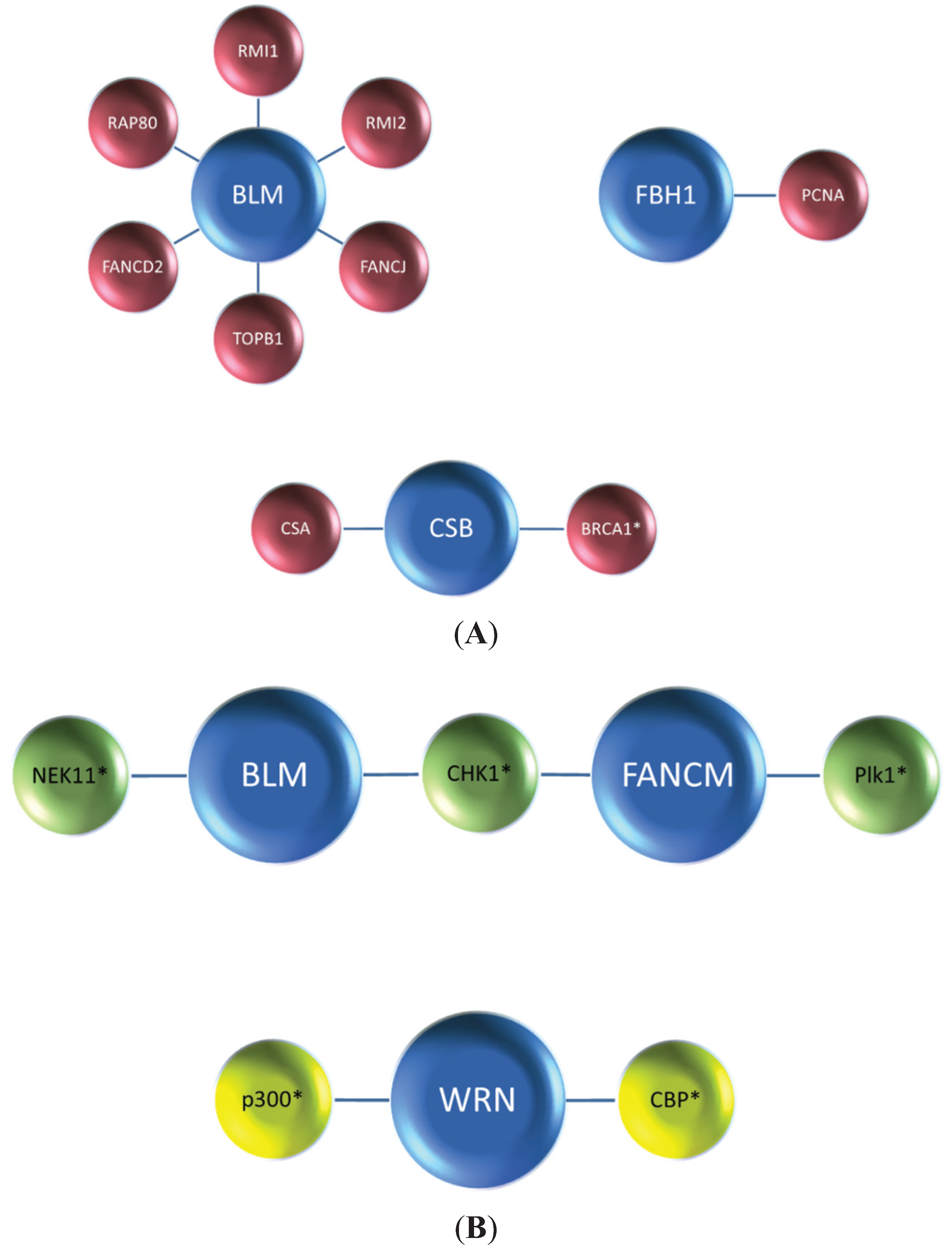 Biomolecules 05 00590 g001