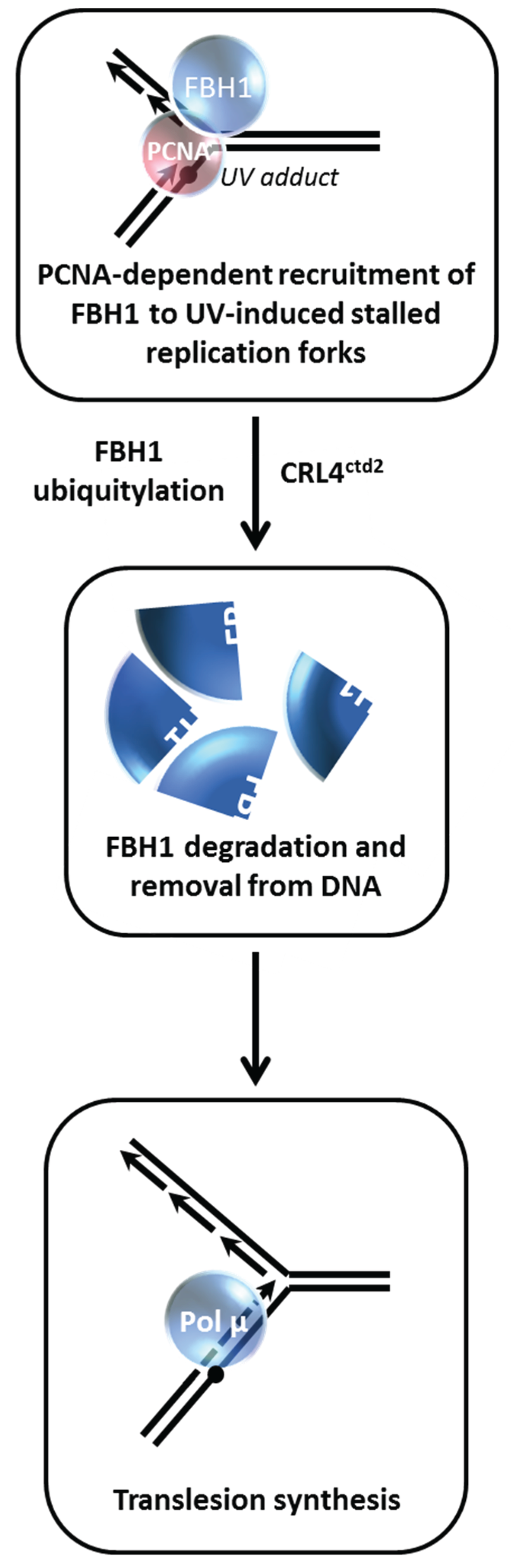 Biomolecules 05 00590 g009 1024
