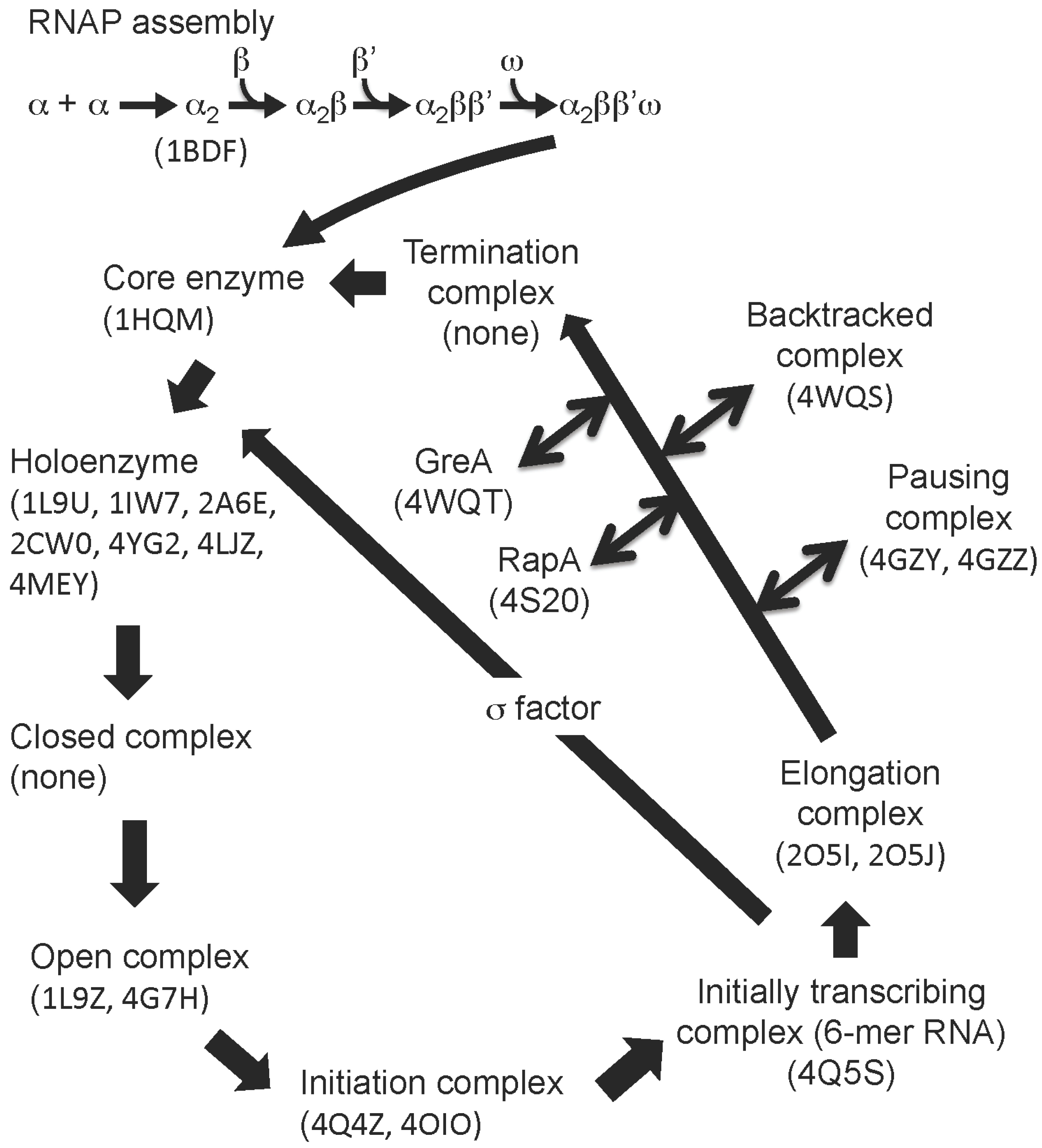 Biomolecules 05 00848 g001