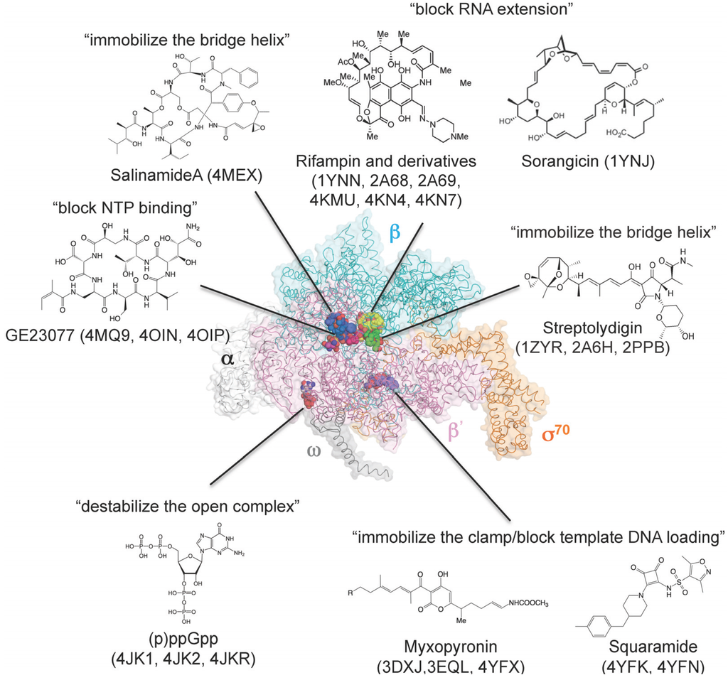 Biomolecules 05 00848 g003 1024