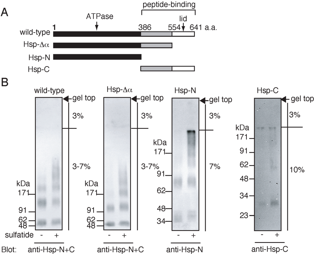 Biomolecules 05 00958 g002 1024