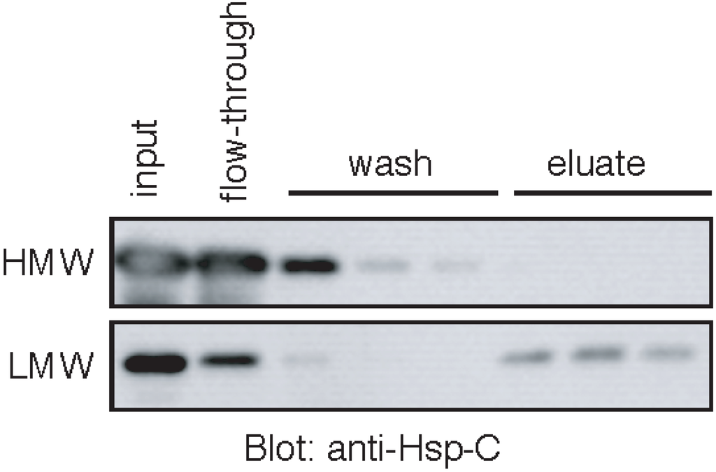 Biomolecules 05 00958 g004 1024