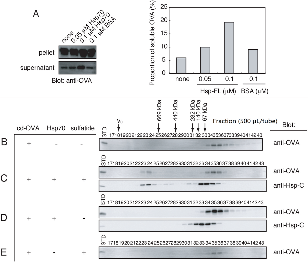 Biomolecules 05 00958 g005 1024