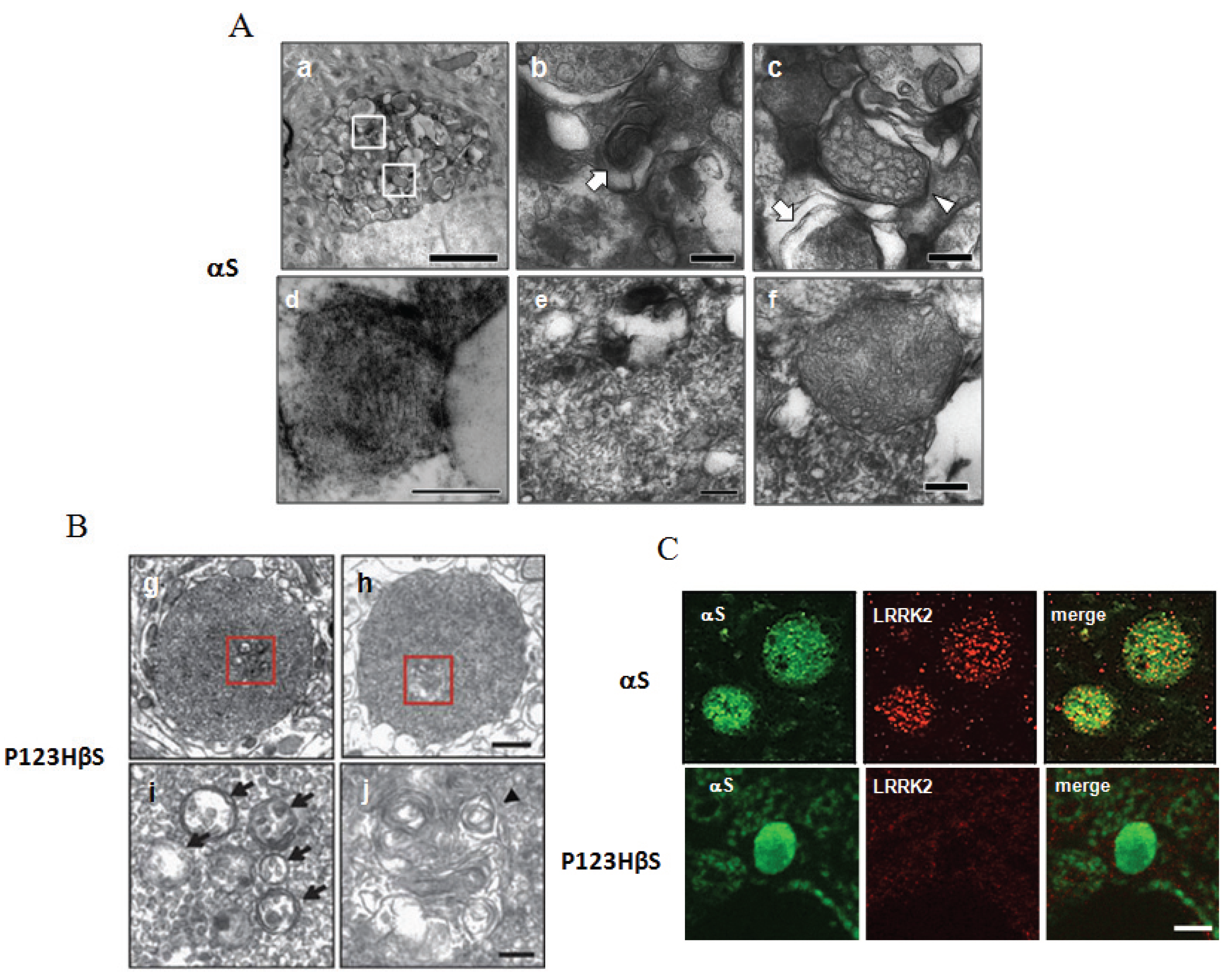 Biomolecules 05 01000 g002
