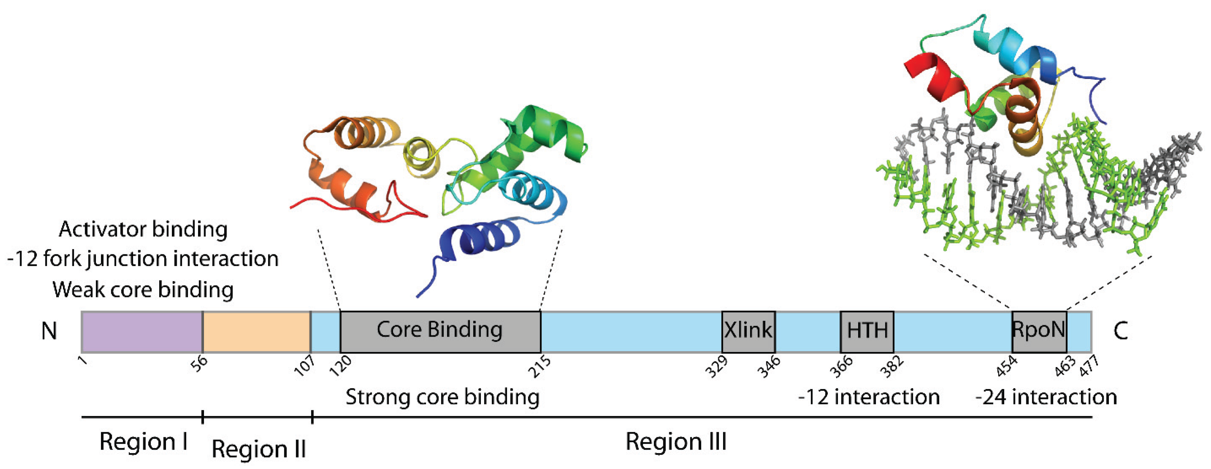 Biomolecules 05 01012 g001