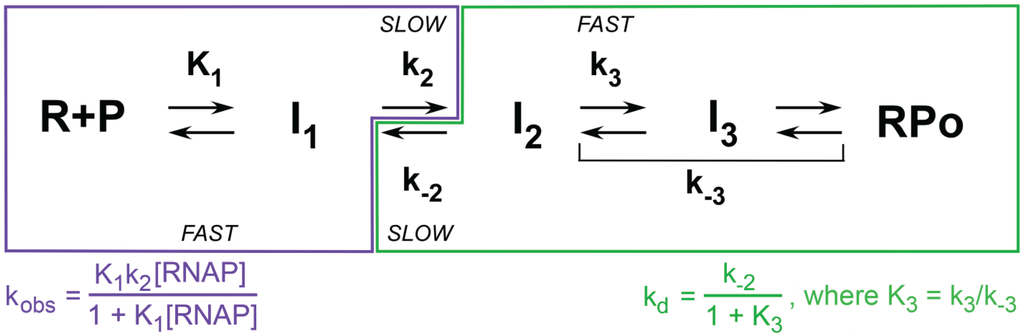 Biomolecules 05 01035 g004 1024